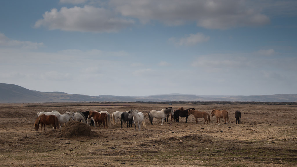 islande2012-15.jpg